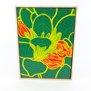 Goldfish Plant - Peter Hughes