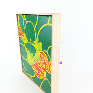Goldfish Plant - Peter Hughes