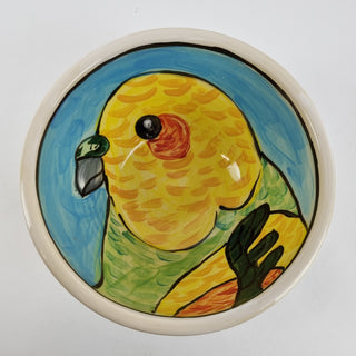 Salad Bowl - Budgie Boy