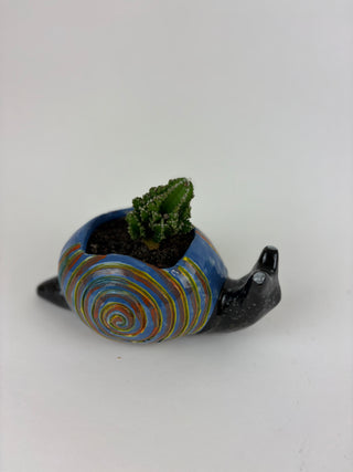 Sculpture- Richard Snail Planter with Succulent