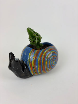 Sculpture- Richard Snail Planter with Succulent