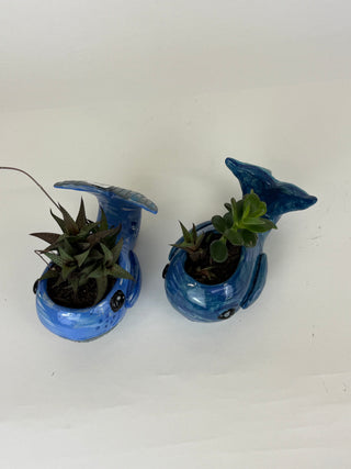 Sculpture- Whale Planter with Succulent