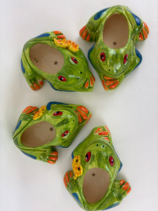Rainforest Tree Frog Planter