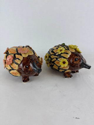 Echidna sculpture Workshop- 13th March- 20 March 2027