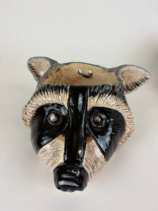 Hanging Planter - Raccoon Face