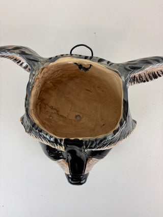 Hanging Planter - Raccoon Face