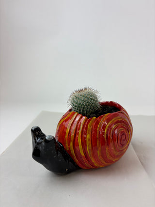 Sculpture- Pat Snail Planter with Succulent
