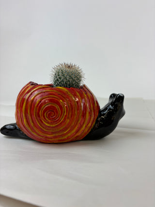 Sculpture- Pat Snail Planter with Succulent