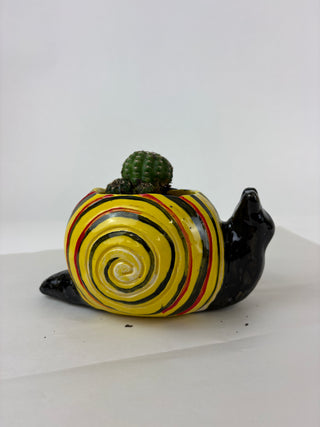 Sculpture- Henry Snail Planter with Succulent