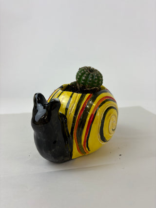 Sculpture- Henry Snail Planter with Succulent