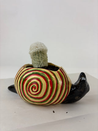Sculpture- Jan Snail Planter with Succulent