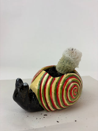 Sculpture- Jan Snail Planter with Succulent