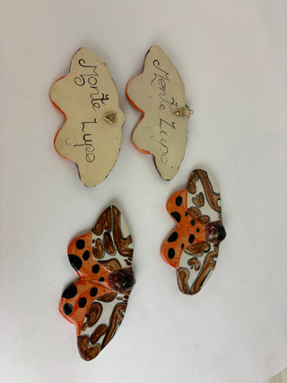 Wall Moth- Cow Moth