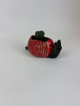 Sculpture- Martin Snail Planter with Succulent
