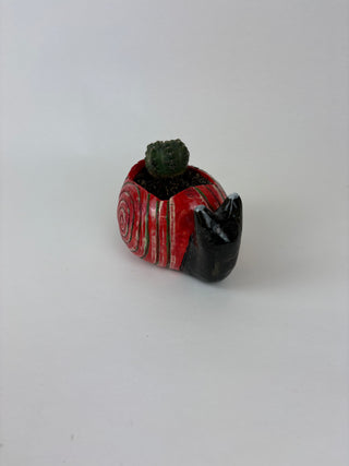 Sculpture- Martin Snail Planter with Succulent