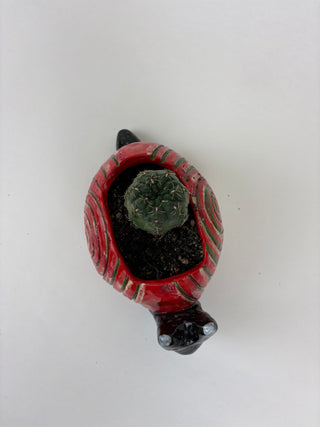 Sculpture- Martin Snail Planter with Succulent