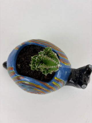 Sculpture- Richard Snail Planter with Succulent
