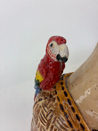 Garden Dweller - Macaw Manny