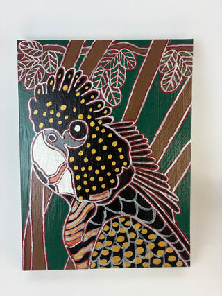 Peter Hughes - Black Cockatoo