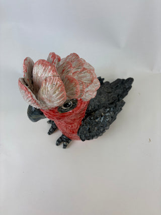 Animal Sculpture - Gideon Galah
