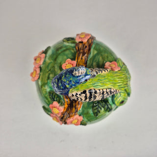 Peacock on a Hill