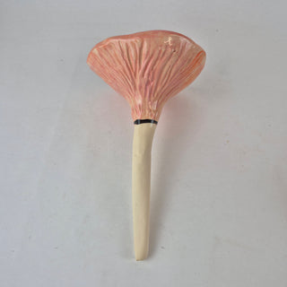 Butterfly Feeder - Coral