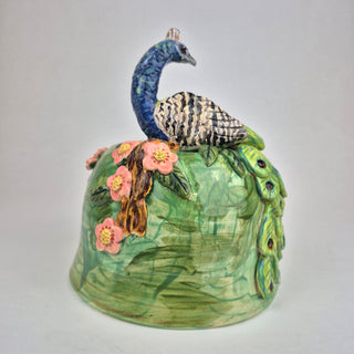 Peacock on a Hill