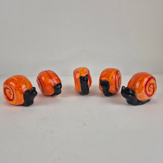 Forest Snail Orange