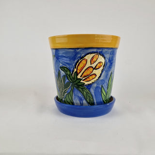 Large Planter with dish- Protea