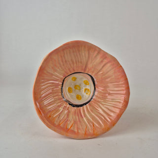 Butterfly Feeder - Coral